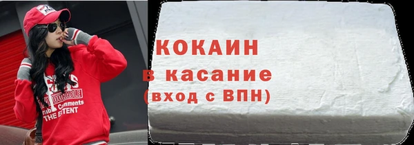 твердый Аркадак