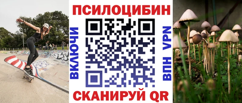 Псилоцибиновые грибы MAGIC MUSHROOMS  где найти   гидра вход  Малая Вишера 